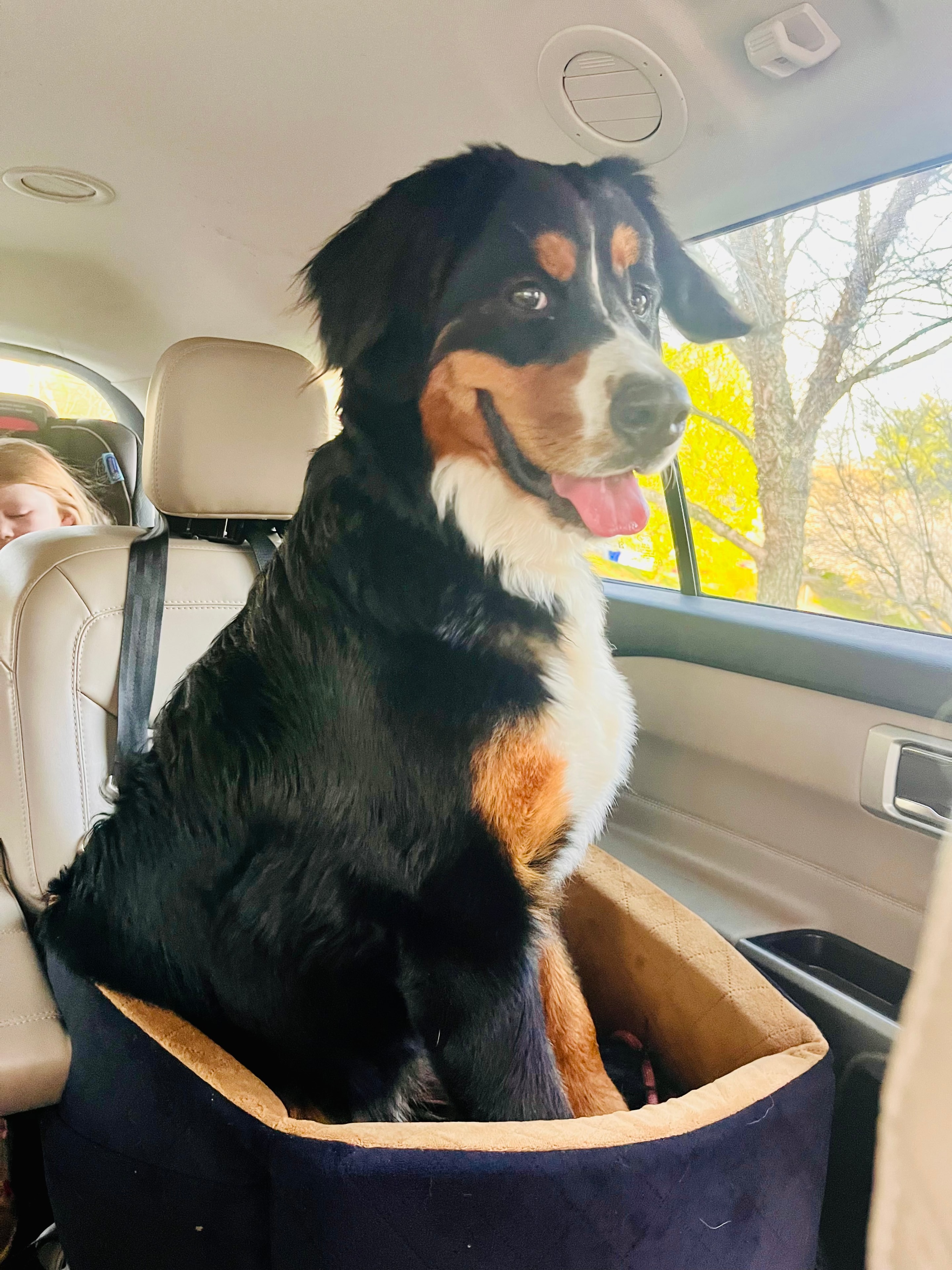 Ready for adventure