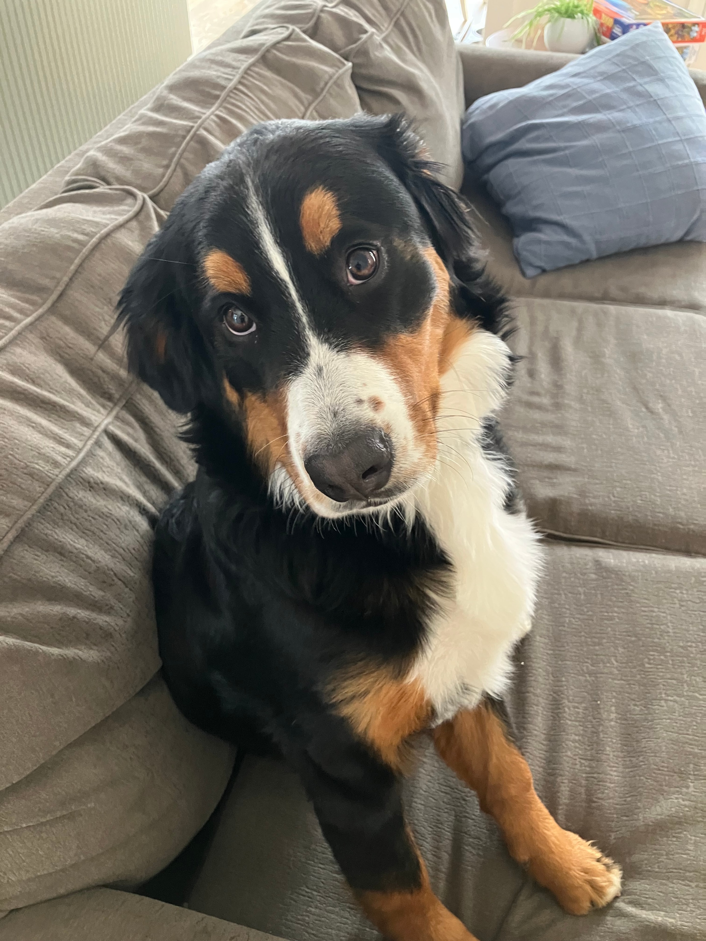Making herself comfortable