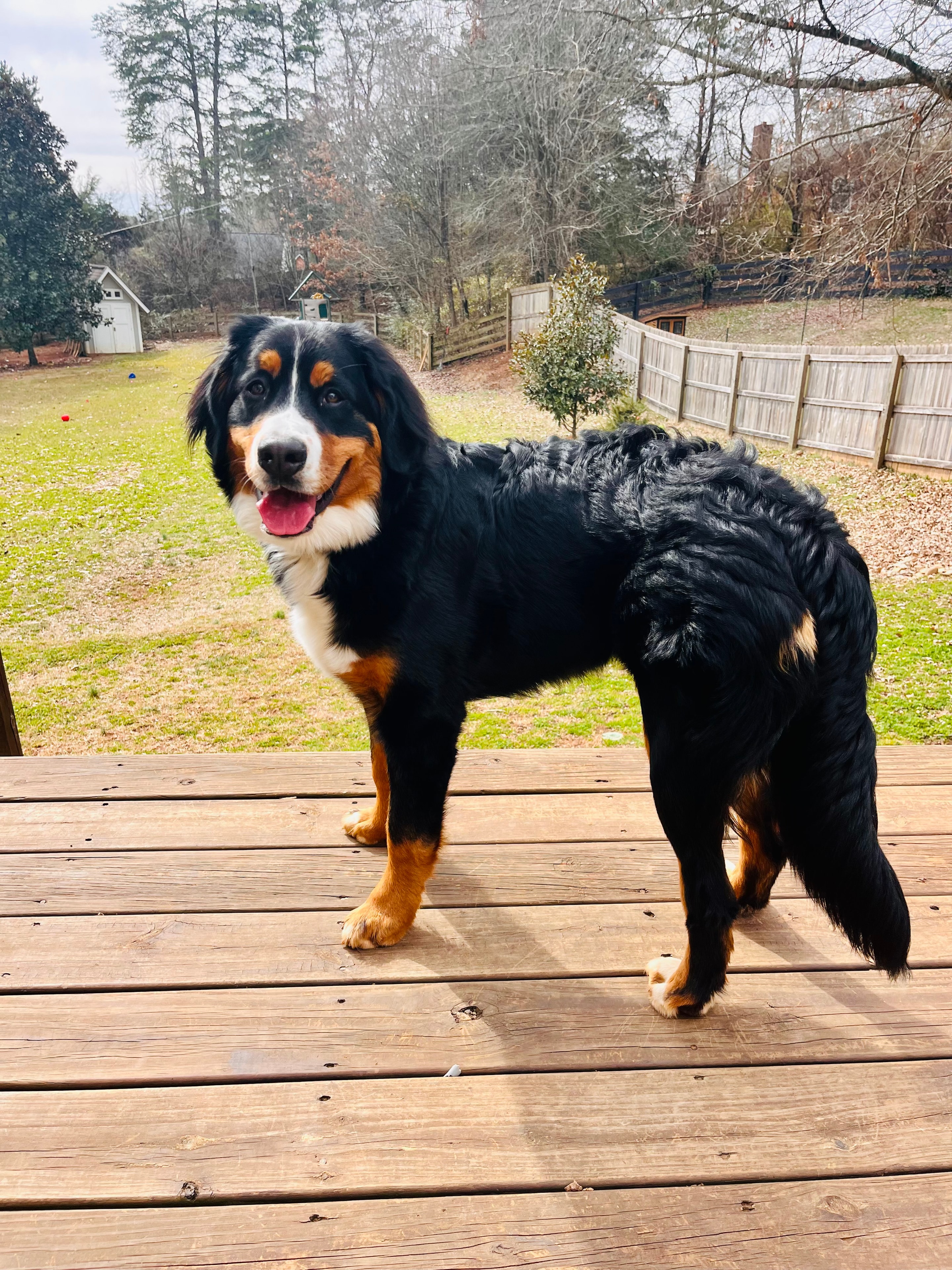 On the deck