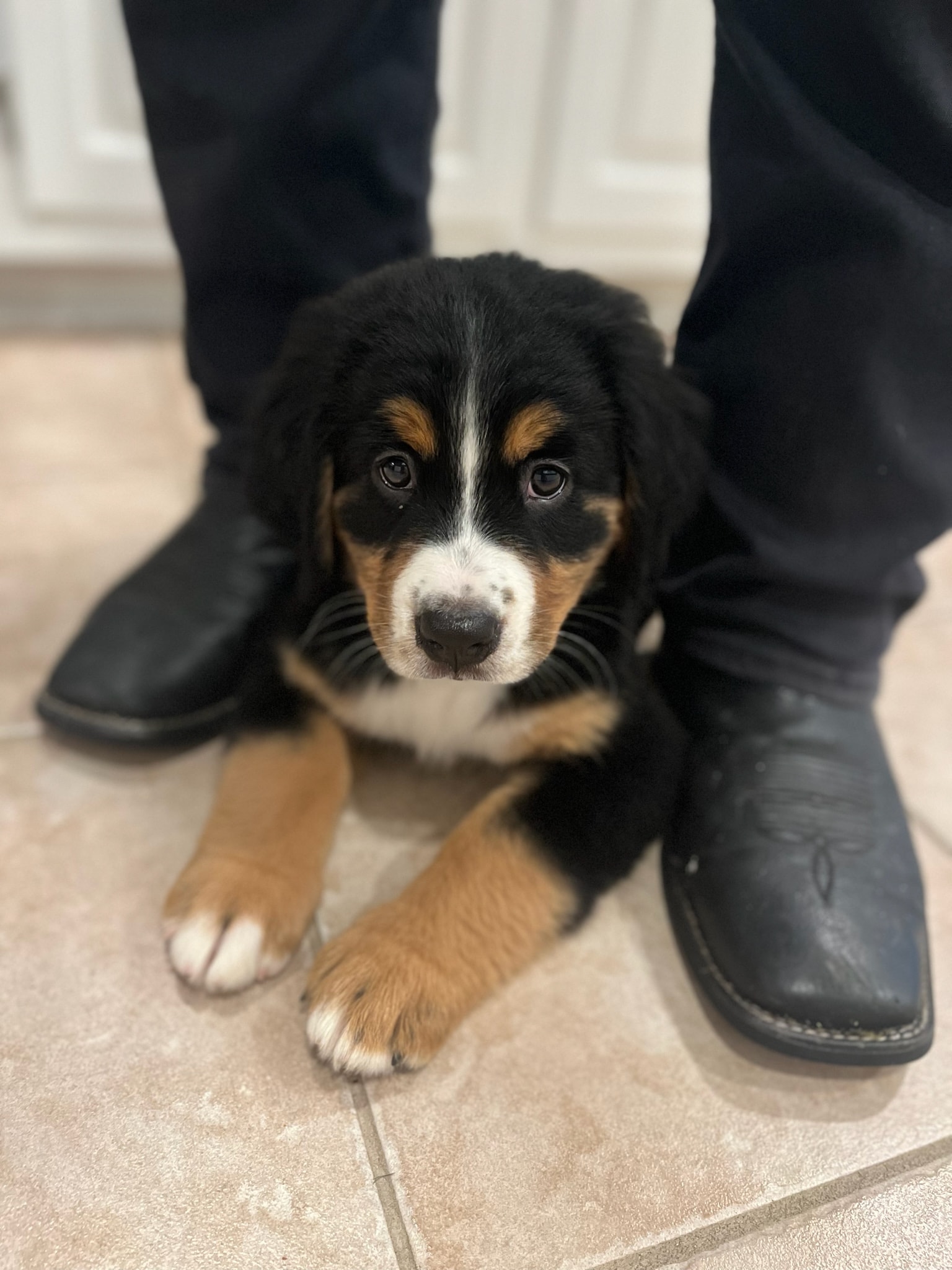 The day we brought her home